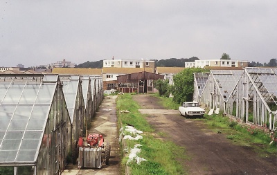 Bashford's Nurseries