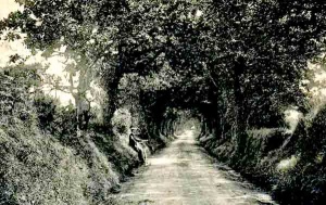 A parish lane in 1911