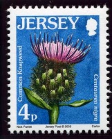 Wildflower definitives