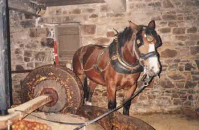 The indoor apple crusher
