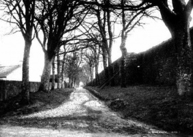 Lovers' lane in St Martin