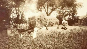 A farming family in the field