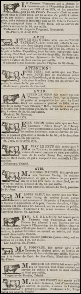 File:S24Chronique1874Bull-adverts.png
