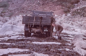 Bruce Romeril collecting vraic in the 1980s
