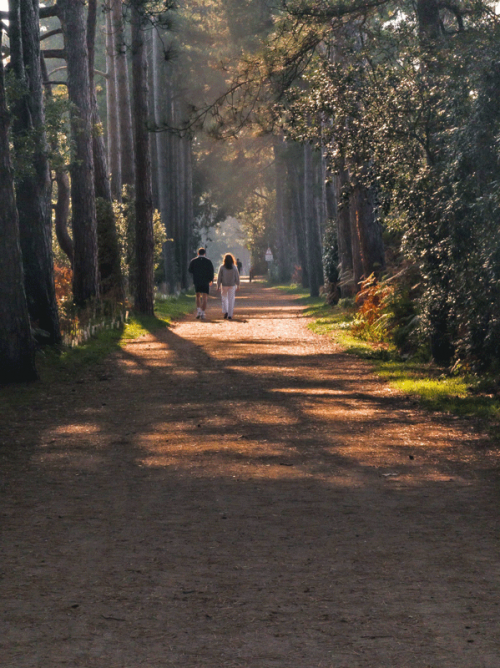 A photograph of the railway walk in 2025, posted to Facebook by Mario Kvards