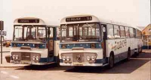 Buses in 1982