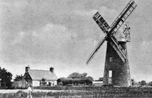 St Peter's Windmill in 1900