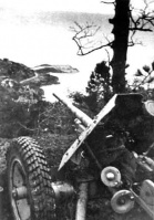 A mobile field gun on a Jersey clifftop