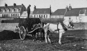 Collecting at St Clement, pictured by Edwin Dale