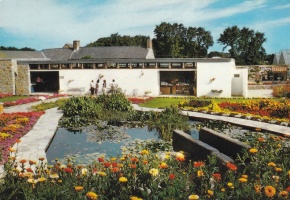 Haute Tombette carnation nursery