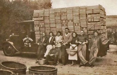 Farm workers with a lorry load of seed potatoes
