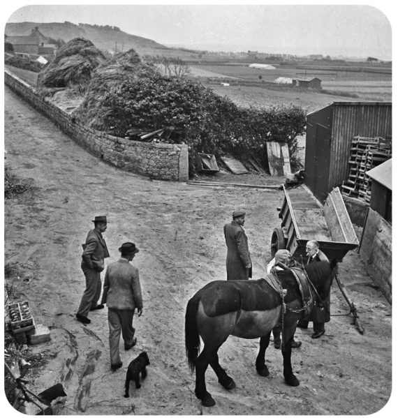 File:W24L'EtacqFarmyard1946.png