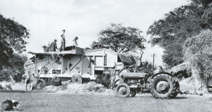 Threshing on the Pipon farm in 1970