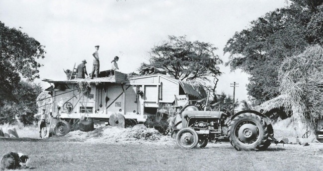 Threshing on a Pipon farm in 1970