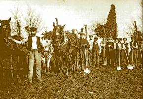 Ready for ploughing and digging