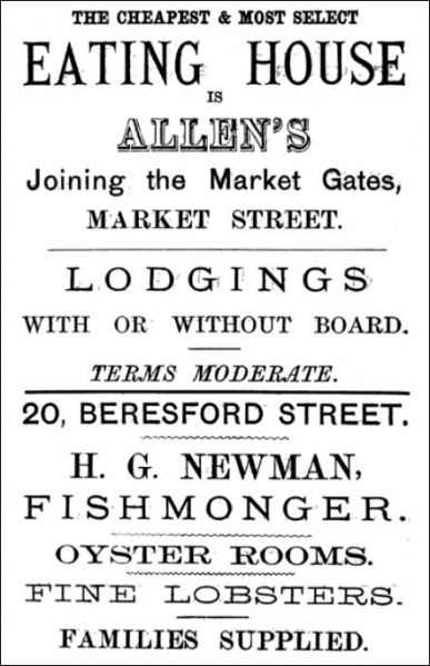 File:GM1881Advert45.jpg