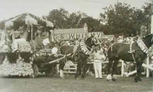 A Battle of Flowers float at Springfield