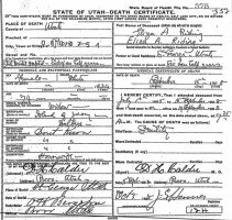 Eliza's death certificate