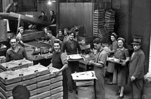 Tomato packing in 1956