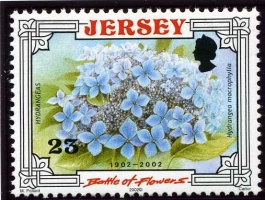 Battle of Flowers anniversary