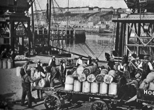 A lorry-load of potatoes