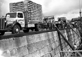 Tomatoes on the quayside for export in 1948 - Picture Evening Post