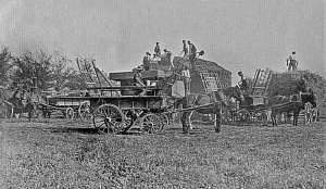 Threshing in 1905 at an unknown farm