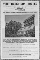 Blenheim advert in the 1964 tourism guide