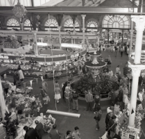 1982 - Jersey Evening Post photograph
