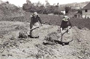 Breton workers in 1937