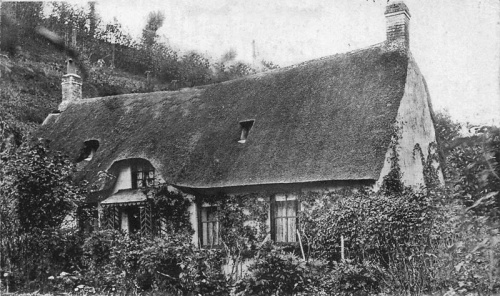 A thatched Jersey cottage