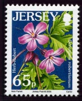 Wildflower definitives