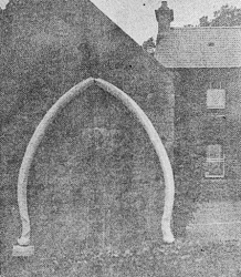 Two large whale bones once formed an arch at the property