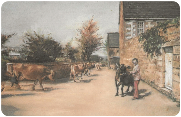 Anne Elizabeth Perchard, nee Billot, bringing in the cattle