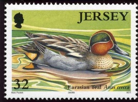 Water fowl