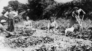 The Renouf family in their field in 1950