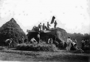 Threshing in the 19th century