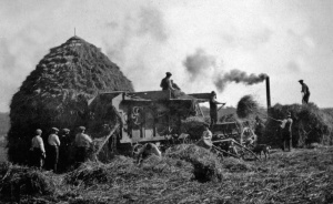 Threshing at St Peter