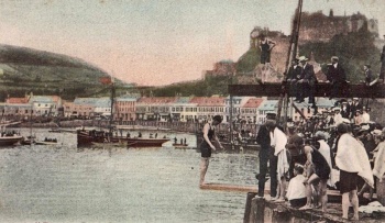 Diving at the regatta