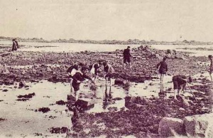 Boys from Notre Dame du Bon Secours School low water fishing