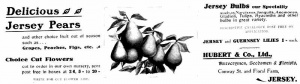 Hubert and Co Jersey pears