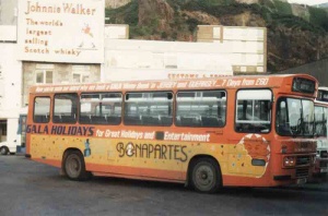 Buses were painted in all colours for the benefit of advertisers