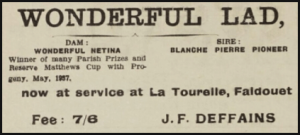 Joseph Francis Deffains farmed at La Tourelle, Faldouet, and advertised his prize bull in the Chronique de Jersey in 1939