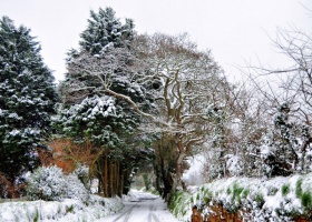 A snow-covered St Lawrence lane