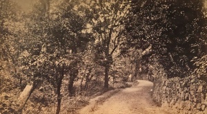 Rozel Valley in 1890