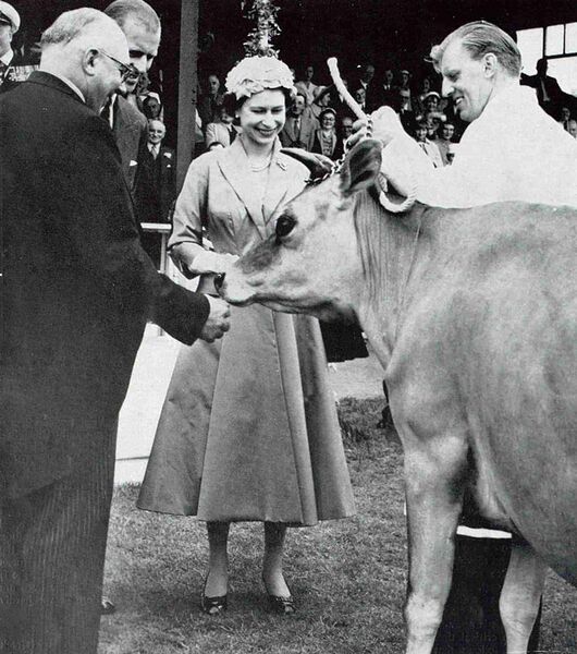 File:GM20Sphere03081957RoyalVisitCow.jpg