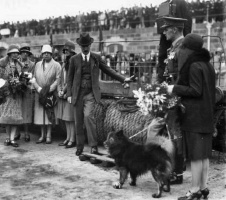 Sir Francis Bingham's 1929 departure