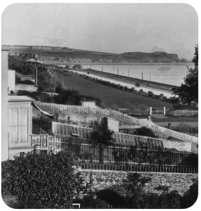 A view of Victoria Avenue and the Lower Park showing large greenhouses in neighbouring gardens ...