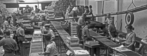 Tomato packing at Dennis and Son's Esplanade premises in 1949 - Evening Post photograph