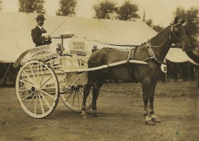 Henry Charles Palmer, born in Jersey in 1873, the son of William Henry (1845- ) and Charlotte Hughes, nee Welch (1844- )